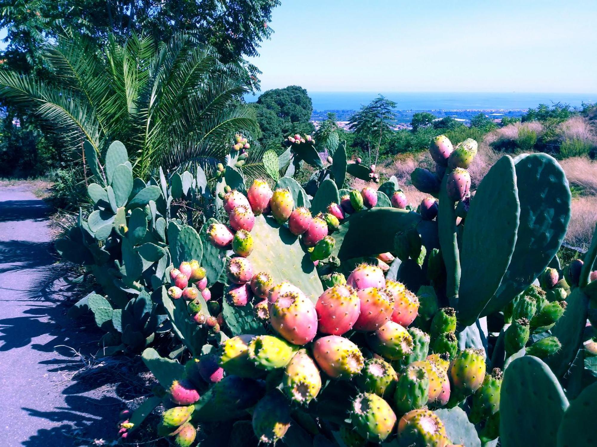 Casa Piedimonte Mare Etna Vila Fiumefreddo di Sicilia Exterior foto